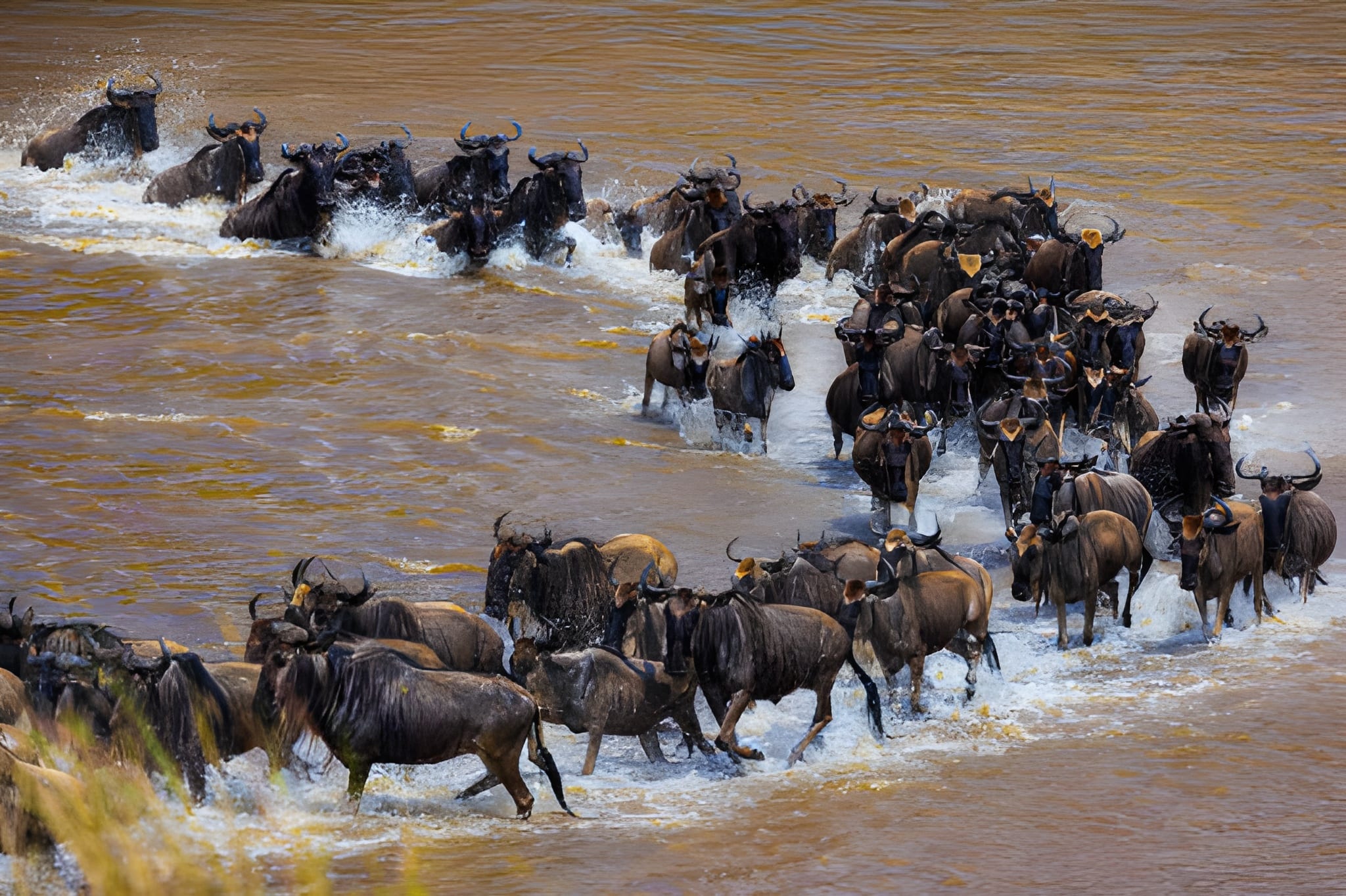 Serengeti‑Wildebeest‑Migration