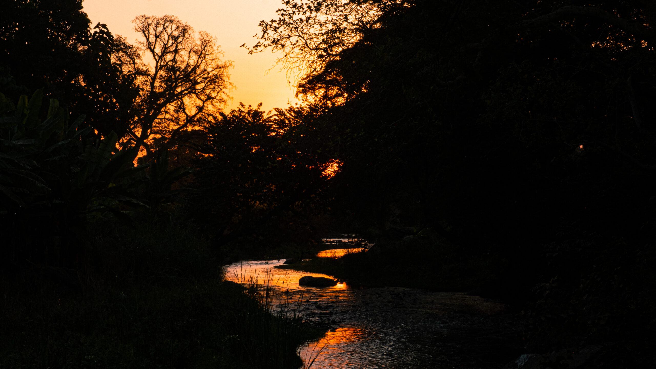 Eekanubi Underground Heritage & Chagga Cultural Day Tour 2026–2027