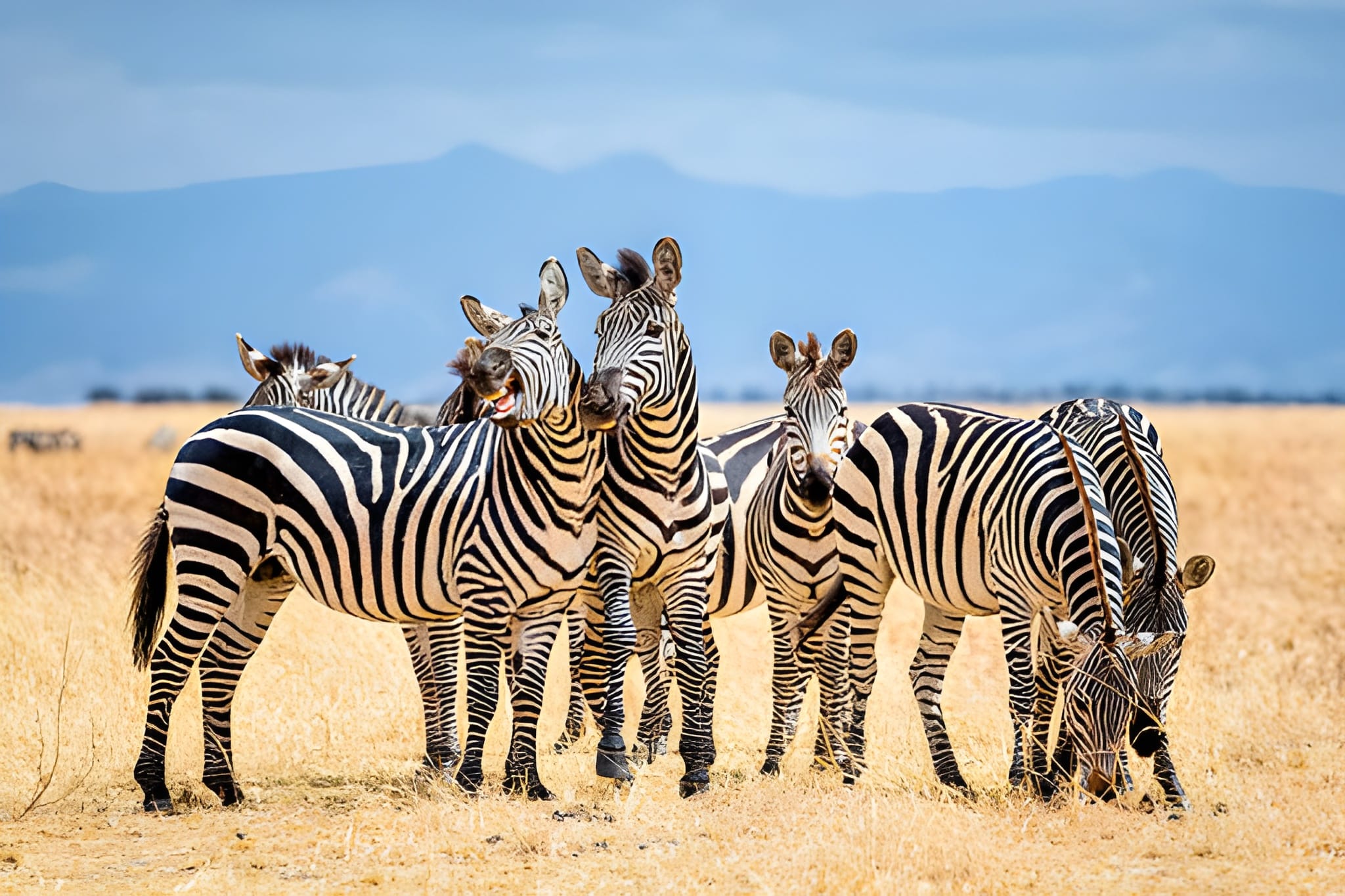 Best day trips in Tarangire National Park